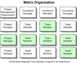 Matrix Organization