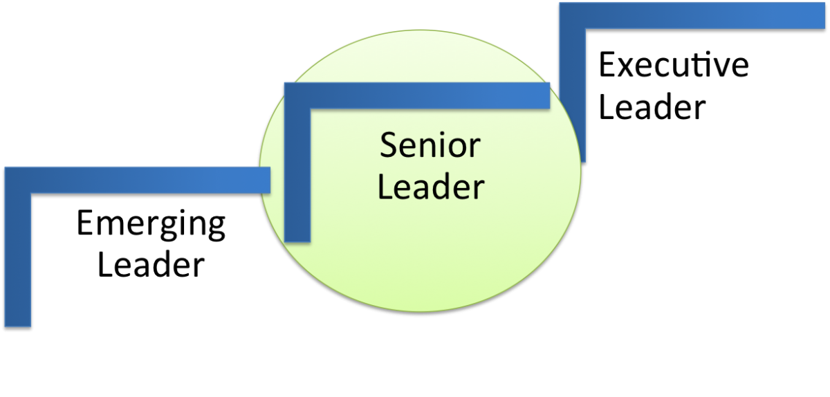 Senior Leadership Step