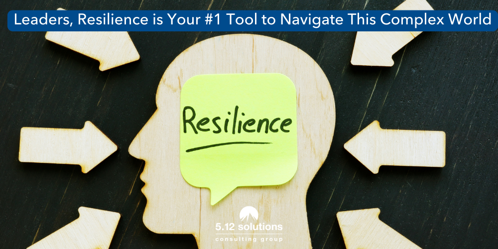 Leaders, Resilience is Your #1 Tool to Navigate This Complex World